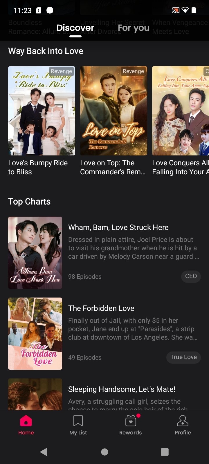 Top Charts 榜单：每部剧标注集数、简介与 CEO、True Love 等标签